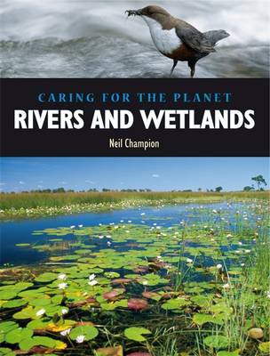 Rivers and Wetlands by Nigel Champion image