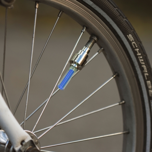 Wheelie Lights at Mighty Ape Australia