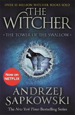 The Tower of the Swallow by Andrzej Sapkowski image