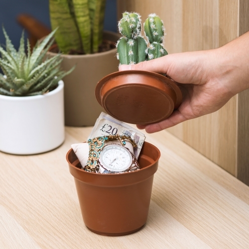 Cactus Safe image