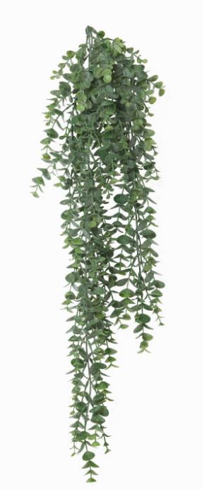 General Eclectic Artificial Plant - Silver Dollar Vine (78cm)