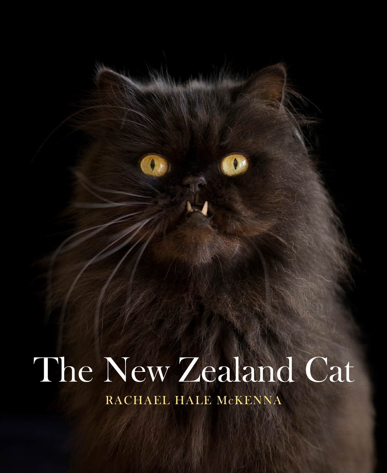 The New Zealand Cat by Rachael Hale McKenna image