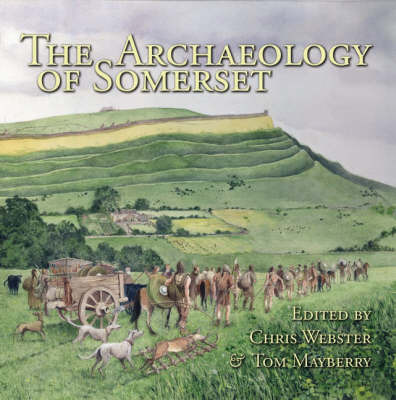 Archaeology of Somerset by Chris Webster image