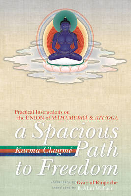 A Spacious Path To Freedom, A by Karma Chagme image