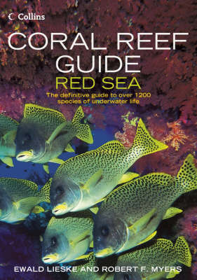 Coral Reef Guide Red Sea by Ewald Lieske image