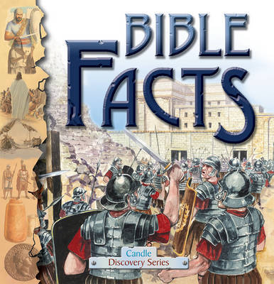 Bible Facts by Anne Adams image