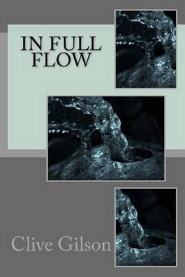 In Full Flow by MR Clive L Gilson image
