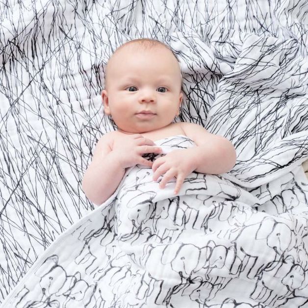 Buy Aden + Anais White Label Classic Dream Blanket Sage Advice