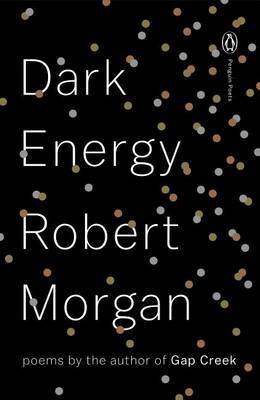 Dark Energy by Robert Morgan image