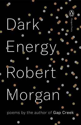 Dark Energy by Robert Morgan