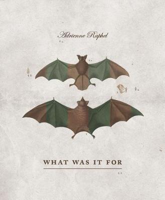 What Was It for by Adrienne Raphel image