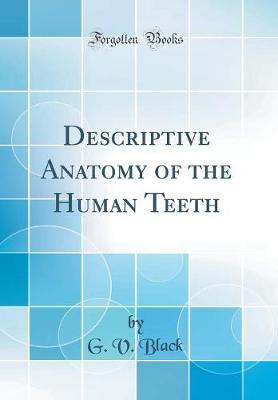 Descriptive Anatomy of the Human Teeth (Classic Reprint) by G V Black image