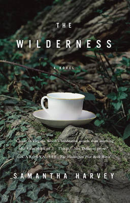 The Wilderness by Samantha Harvey image