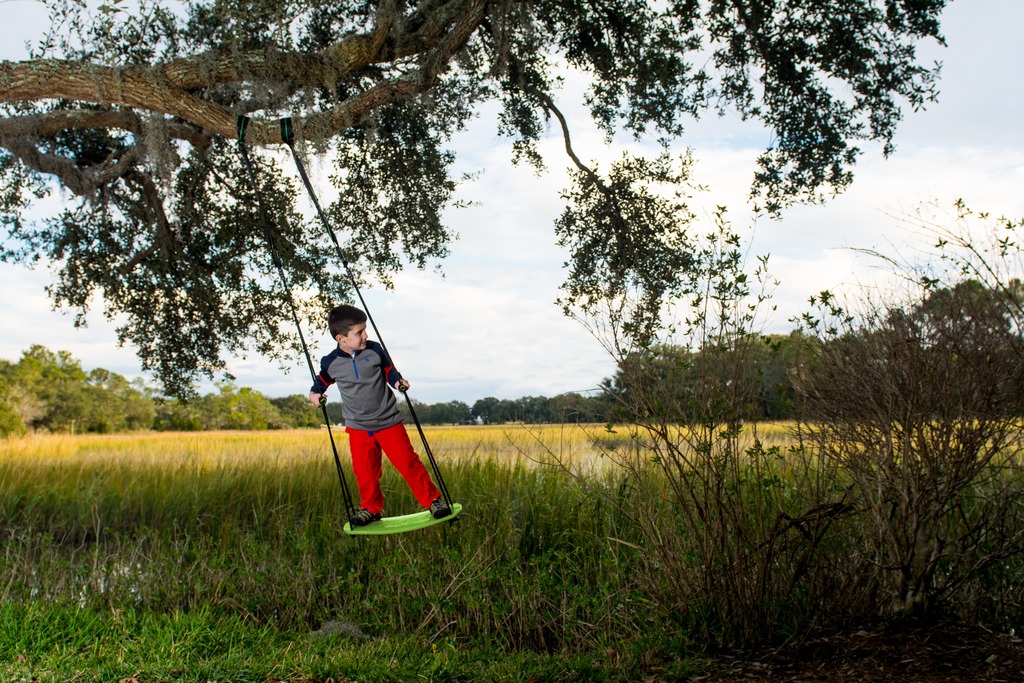 Flybar: Swurfer Kick - Green image