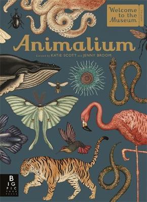 Animalium by Jenny Broom image