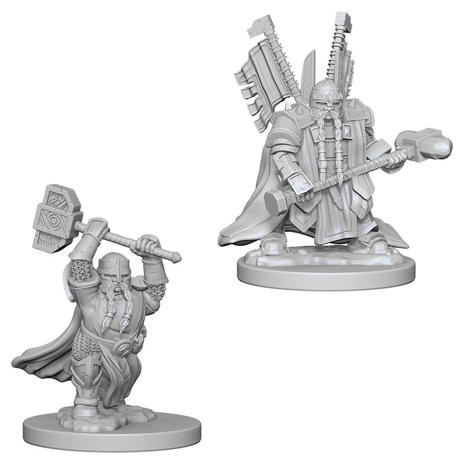 D&D Nolzurs Marvelous: Unpainted Miniatures - Dwarf Male Paladin image