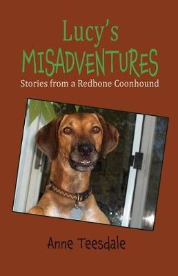 Lucy's Misadventures by Anne Teesdale image
