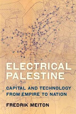 Electrical Palestine by Fredrik Meiton image