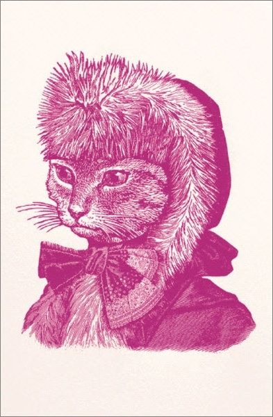 Chase & Wonder: Individual Christmas Card - Cat image
