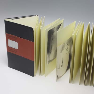 Moleskine Japanese Album (Large, Hard, Black) image