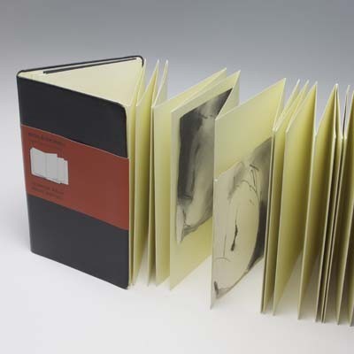 Moleskine Japanese Album (Large, Hard, Black)