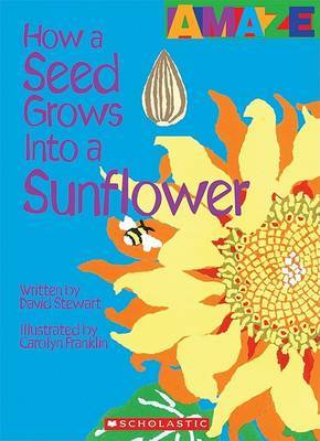 How a Seed Grows Into a Sunflower on Paperback by David Stewart