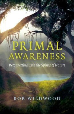 Primal Awareness by Rob Wildwood image