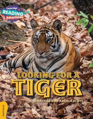 Tigers of Ranthambore Gold Band by Jonathan Scott image