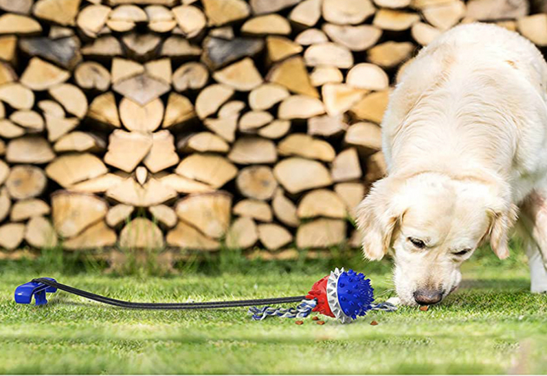Buy Outdoor Dog Rope Ball Interactive Chew Toy Blue at Mighty Ape NZ