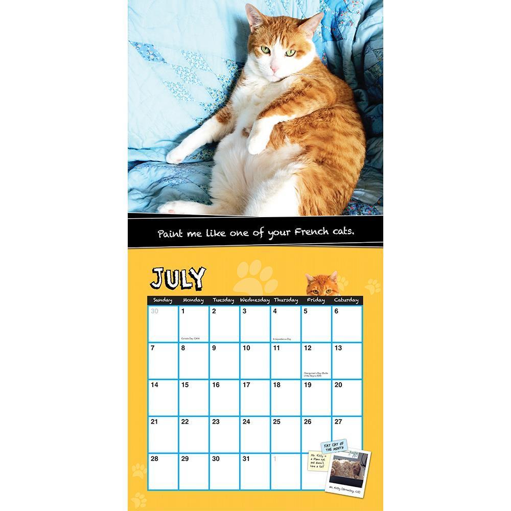 2019 Fat Cats Wall Calendar by Sourcebooks