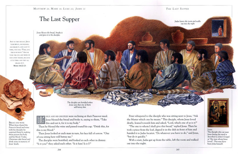 The Children's Illustrated Bible (large) by Selina Hastings image