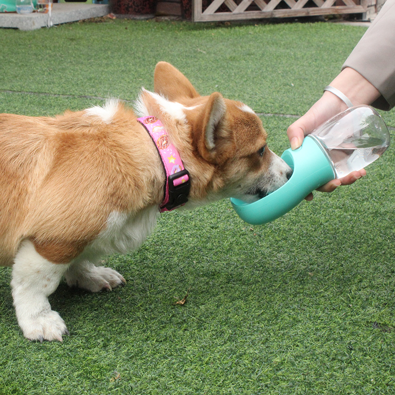 Portable Pets Drinking Water Bottle (Blue)