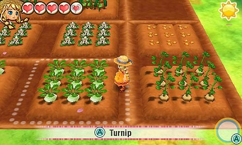 Story of Seasons: Trio of Towns for 3DS image