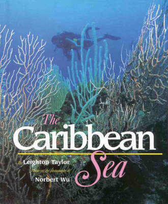 The Caribbean Sea by Leighton Taylor image