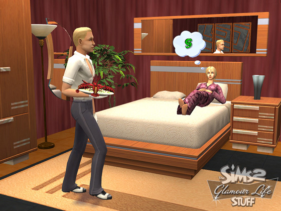 The Sims 2: Stuff Glamour for PC Games image