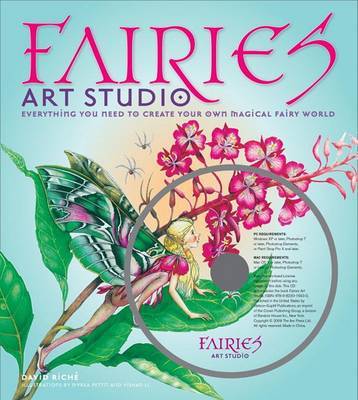 Fairies Art Studio: Everything You Need to Create Your Own Magical Fairy World on Hardback by David Riche