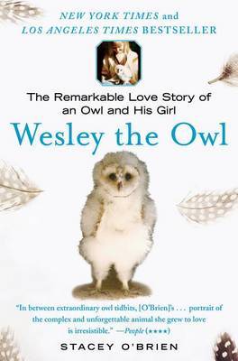 Wesley the Owl by Stacey O'Brien image