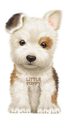 Little Puppy by Giovanni Caviezel