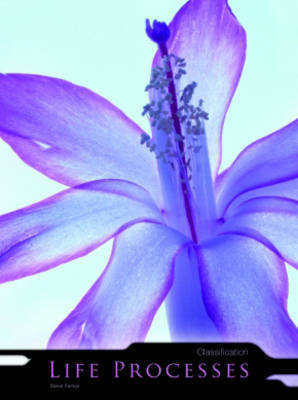 Classification by Holly Wallace image