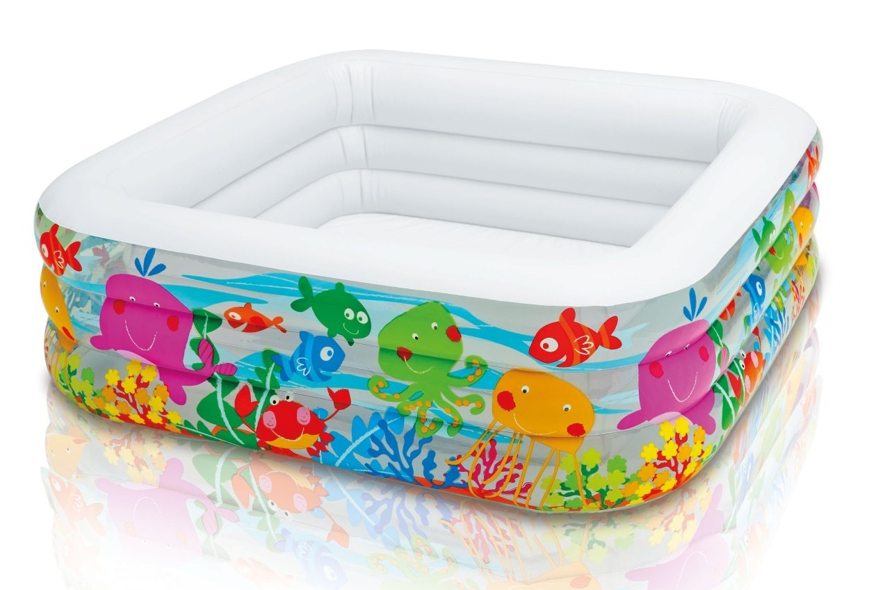 Buy Intex Clearview Aquarium Pool at Mighty Ape NZ