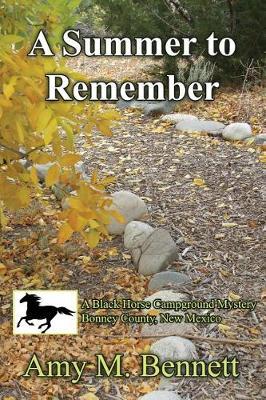 A Summer to Remember by Amy Bennett image