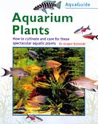 Aquarium Plants by Jurgen Schmidt image