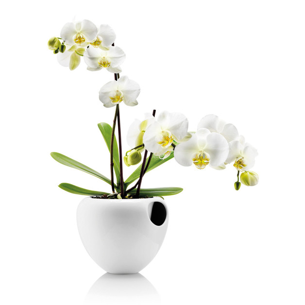 Eva Solo: Orchid Pot Self-Watering Pot