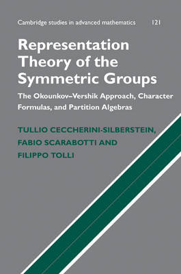 Representation Theory of the Symmetric Groups by Tullio Ceccherini-Silberstein image