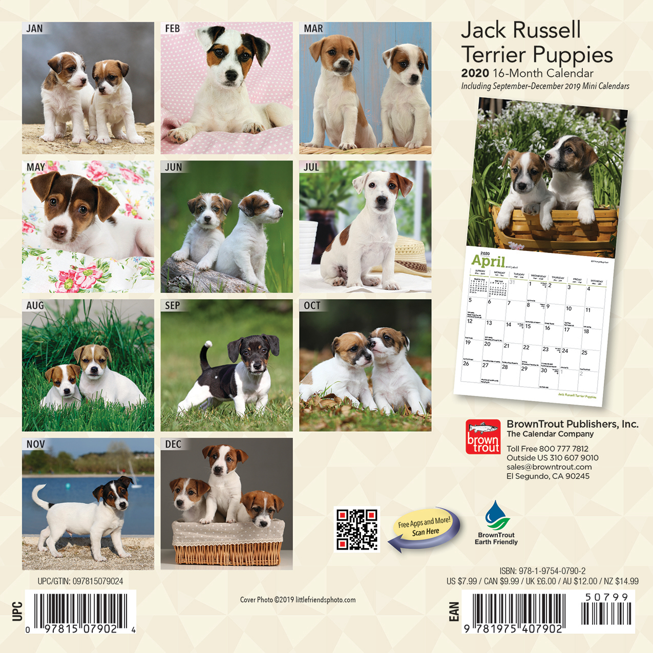 Jack Russell Terrier Puppies 2020 Mini Wall Calendar image