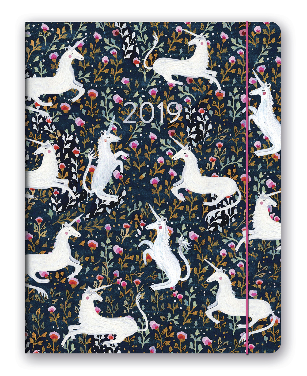 Just Right: Magical 17 Month 2019 Compact Diary