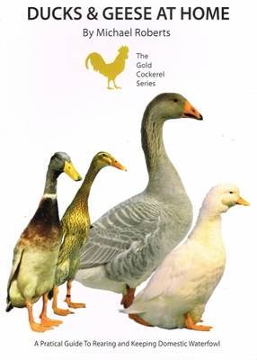 Ducks and Geese at Home on Paperback by Michael Roberts