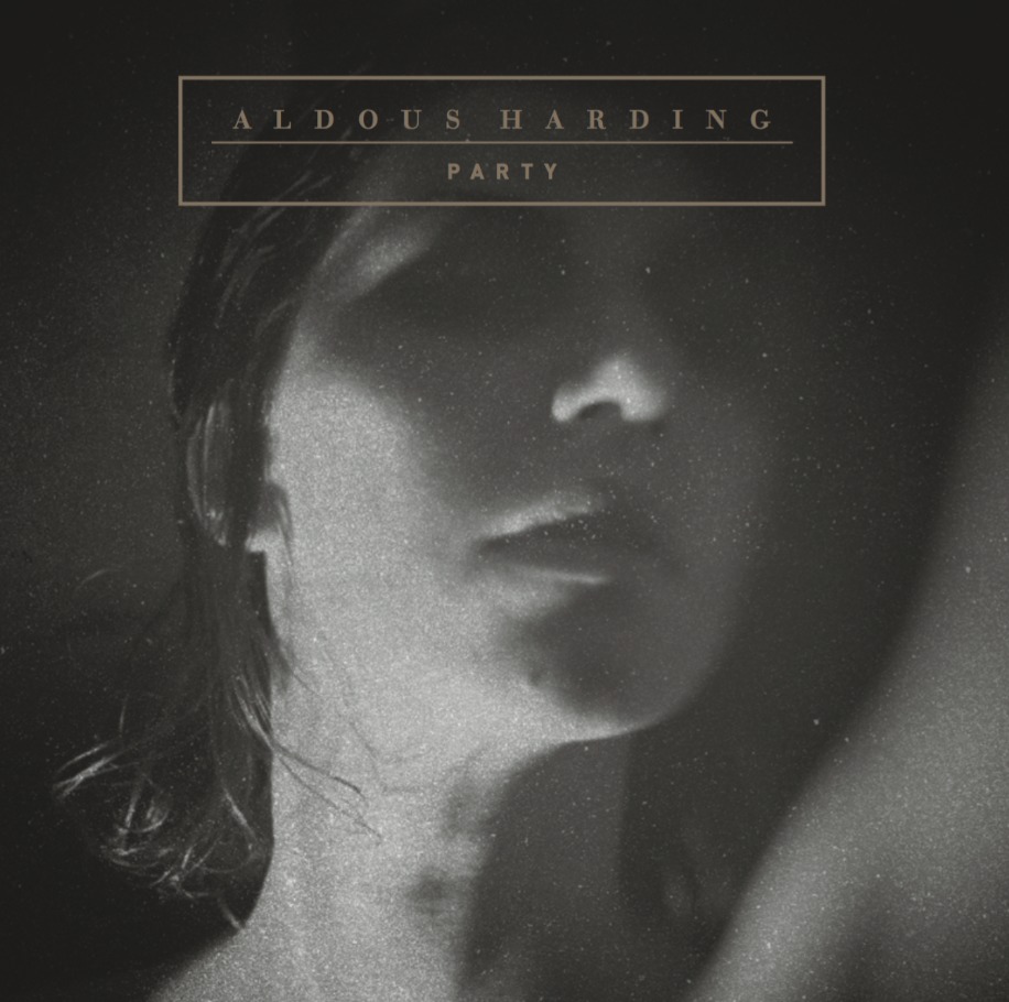 Party (LP) on Vinyl by Aldous Harding