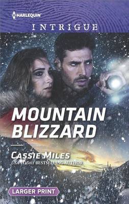 Mountain Blizzard by Cassie Miles image
