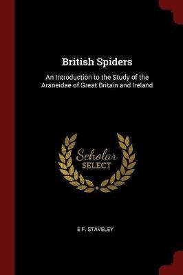 British Spiders image